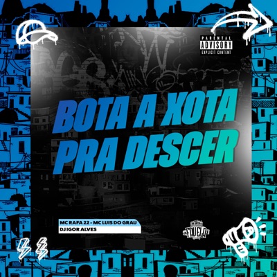 Bota a Xota Pra Descer (feat. Club dos Mandela) - Single