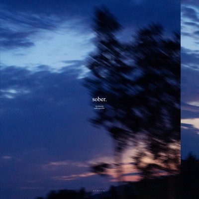 sober. (feat. SadBoyProlific) - Single