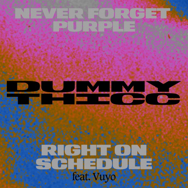 Never Forget Purple / Right On Schedule - Single