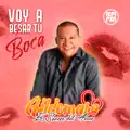 Voy a Besar tu Boca