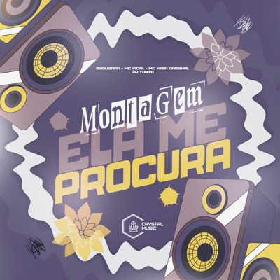 Montagem Ela Me Procura - Single