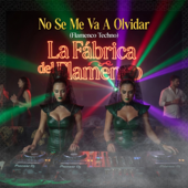 No Se Me Va A Olvidar (Flamenco Techno)