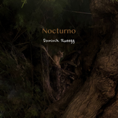Nocturno song art