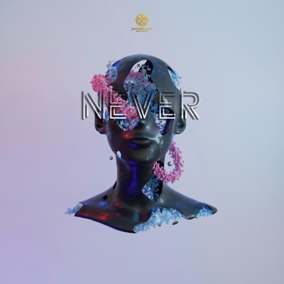 Never - Single