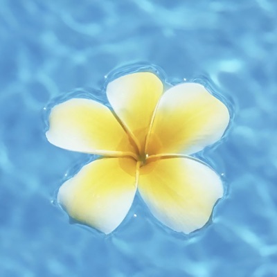 Smth Beachy - Single