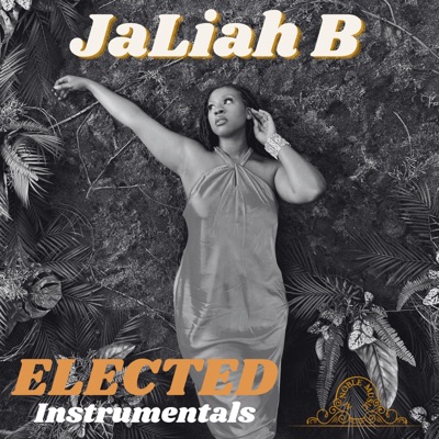 ELECTED INSTRUMENTALS (Instrumentals)