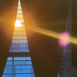 Honestly (feat. Braxx) Marionn