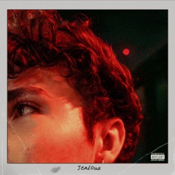JEALOUS cover art