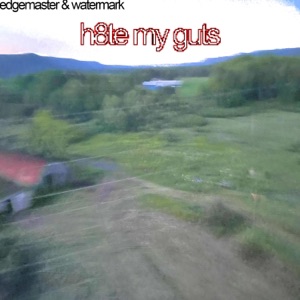 h8te my guts (feat. EDGEMASTER42) - Single