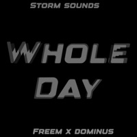 Whole Day (feat. Freem) - Single - Storm Sounds & 909.Dominus