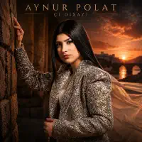 Çı Dıxazi — Aynur Polat