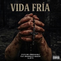 Vida Friá (feat. Briannalee, Abadon & Jay R:.) - Single - Static Mr. Unbreakable