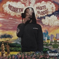 Rebirth - Pasto Flocco