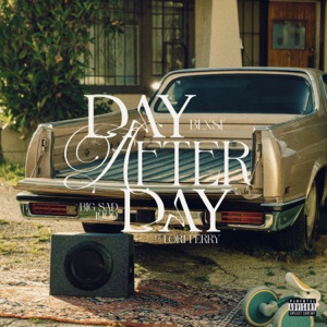 Day After Day (feat. Lori Perry) - Single