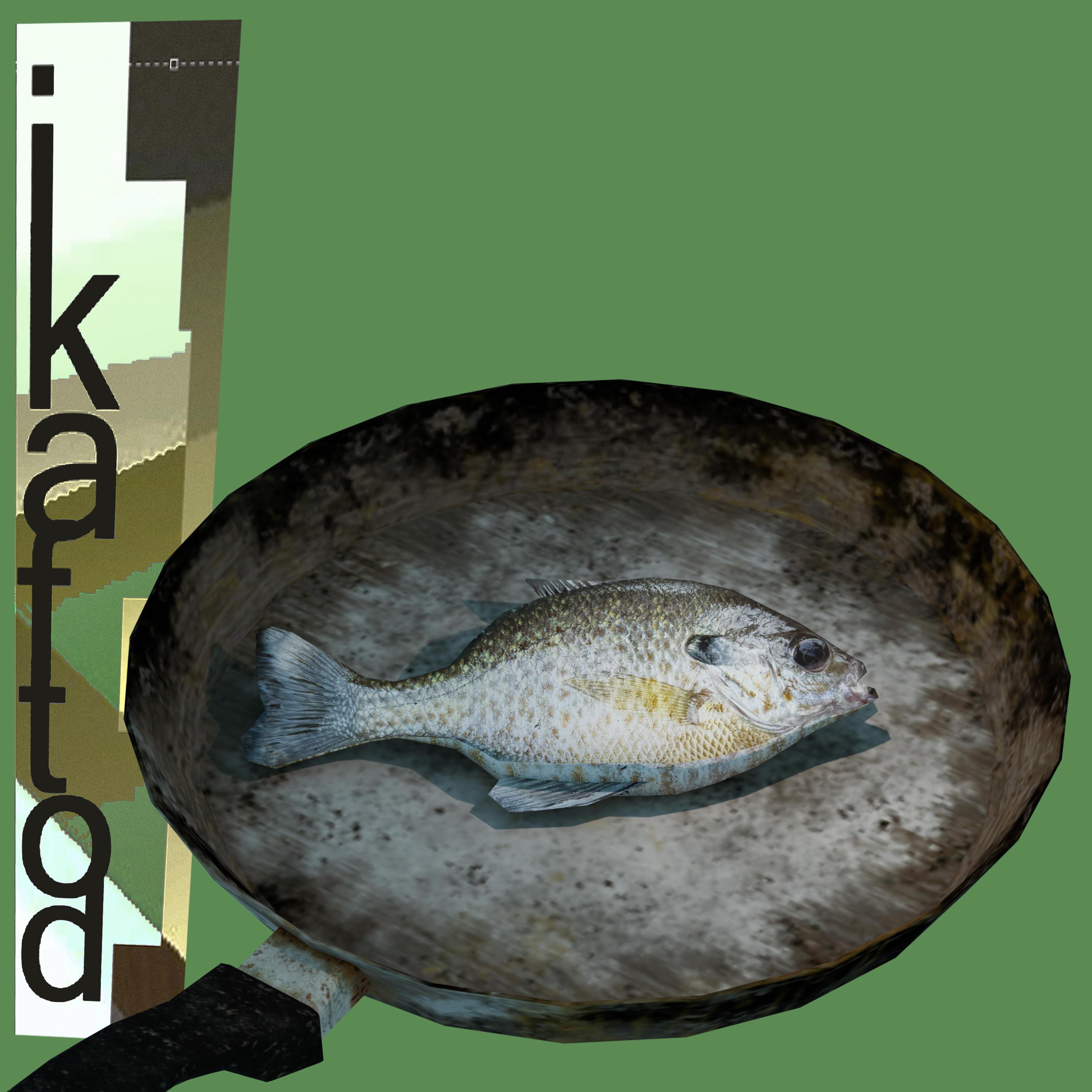 I Killed A Fish The Other Day