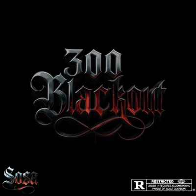300 BLACKOUT - Single