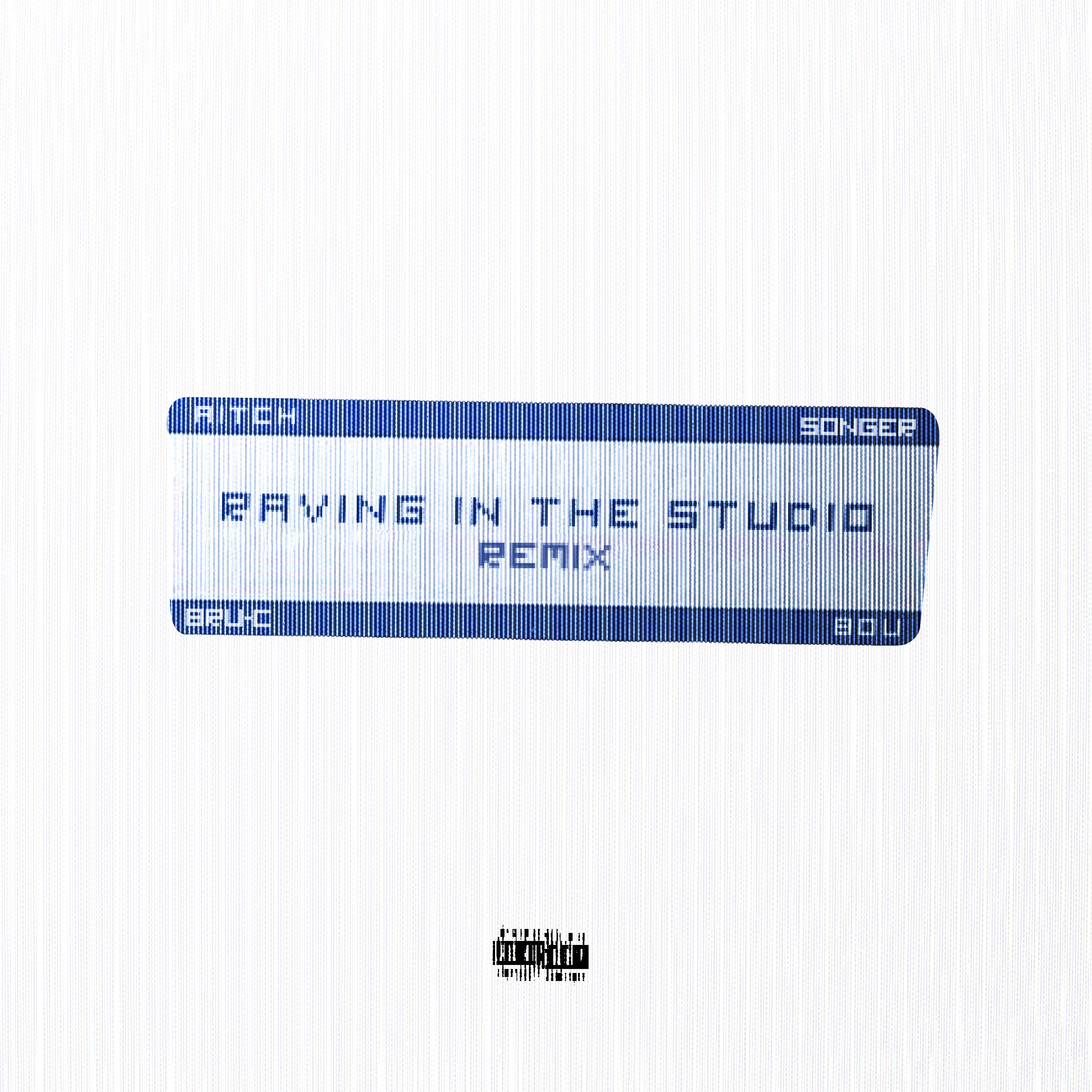 Raving In The Studio (Remix) [feat. Bru-C & Songer] - Single