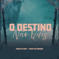 O Destino Não Quis - Single - Pedro No Beat & Tropa do Paredão