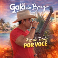 Fiz de Tudo por Você - Single