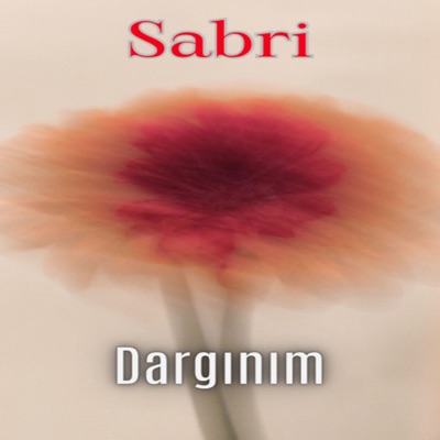 Dargınım - Single