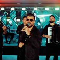 Mi Amor (Live) - Single - Florin Bora