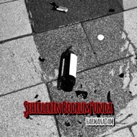 Şehirlerin Bodrum'unda - Single - Harmanadam