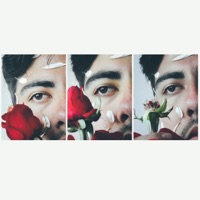 Torn Asunder (feat. Equinox) [with Memories Music] - Single - Dr. Golden Monkey