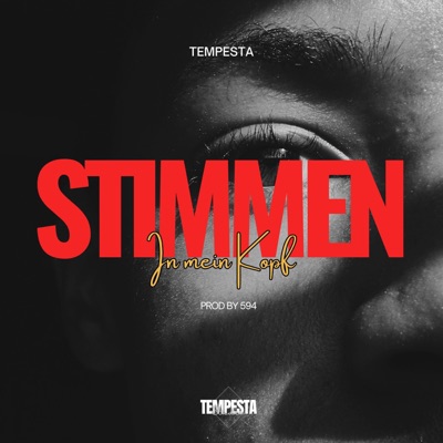 Stimmen In Mein Kopf - Single