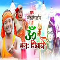 Om namah Shivay - Single - Dharmendra Nirmaliya
