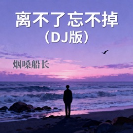 离不了忘不掉 (Dj德朋版) 烟嗓船长