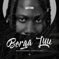Borga Luu - Single - Qwame Decash