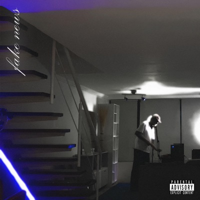 FAKE NEWS (feat. V!M) - Single
