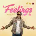 Feelings