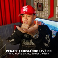Pegao' (Musiando Live 09) - Single - Junior Caldera & Trap House Latino