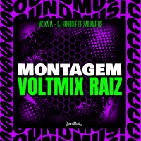 MONTAGEM VOLTMIX RAIZ - Single - Mc Katia, Dj Henrique De São Mateus & SoundMusic Original