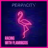 Racing With Flamingos