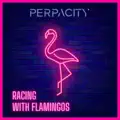 Racing With Flamingos