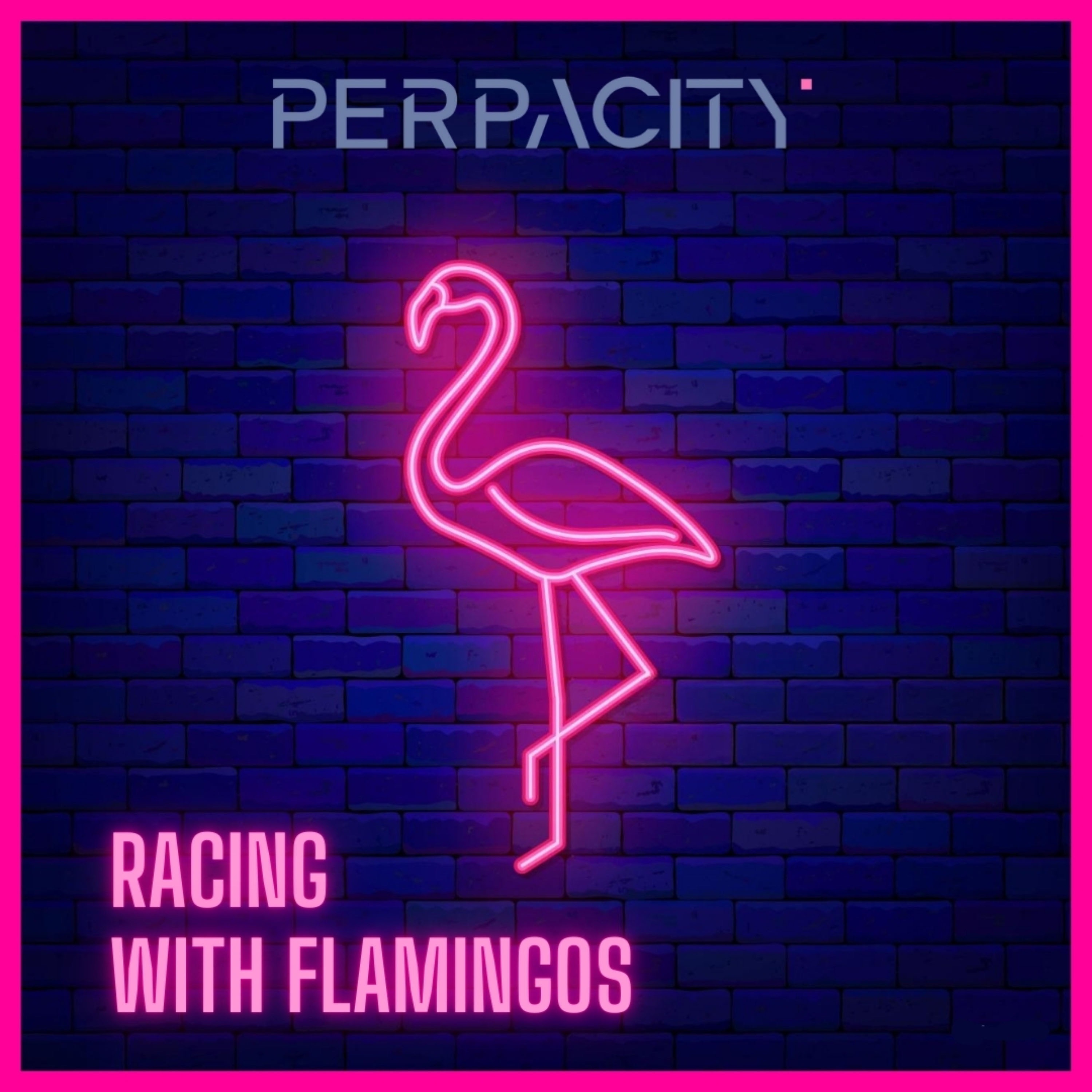 Racing With Flamingos - Single