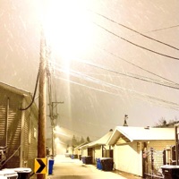 STAY (feat. $POOKY & $AINT) - Single - Luv