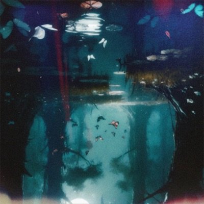 therapy: session 02 - Single