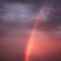 Marceline - Single - softwaves