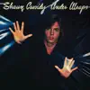 Shaun Cassidy - One More Night of Your Love