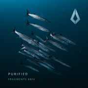 Purified Fragments XXIV - Chrstphr, Evy Joy & Milan Steenwinkel