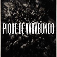 Pique de Vagabundo Fein - Single - DJ S2K
