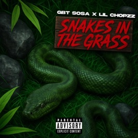 Snakes In The Grass (feat. Lil Chopzz) Gbt Sosa