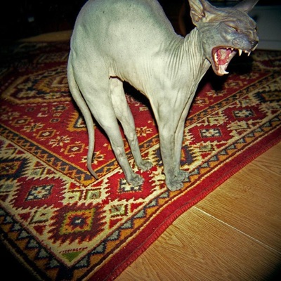 Nihao (feat. Salty3r) - Single