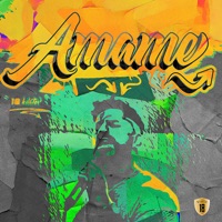 Amame - Single - 18 Kilates