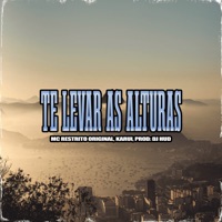 Te Levar as Alturas - Single - MC RESTRITO ORIGINAL, Karui & MANSÃO SPACE FUNK