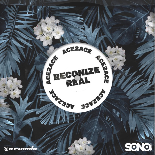 Reconize Real - Single