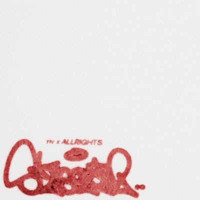 Steezin - Single